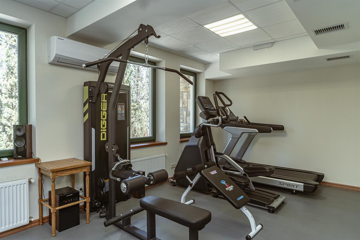 Тяга вертикальная и горизонтальная Hasttings Digger HD026-1 | Premium Fitness