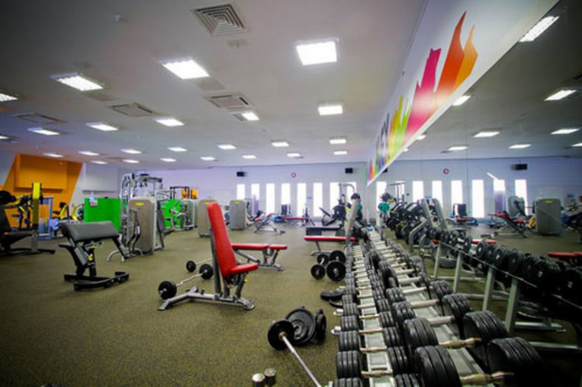 Многопозиционная скамья (0-80 градусов) Impulse IT7011 | Premium Fitness