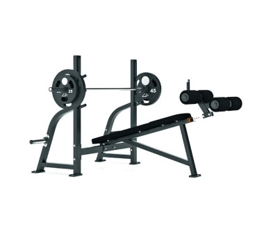 Олимпийская скамья с отрицательным наклоном Matrix G1 G1-FW165 | Premium Fitness