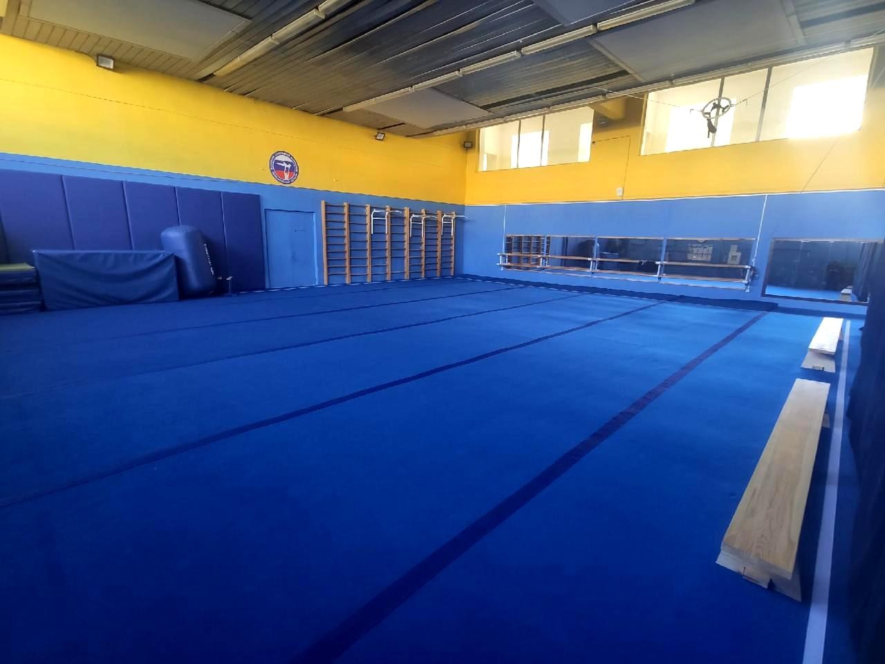 Ковер для спортивной гимнастики и акробатики GymSport STRONG 14x14