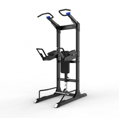 Турник\брусья\пресс Protrain GT-PTR (опция GT-PTR-PDA в комплекте)