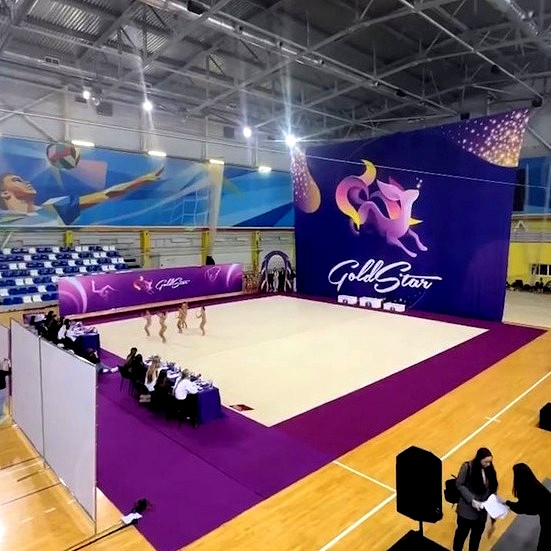 Ковер гимнастический GymSport PROF PREMIUM 4х2м
