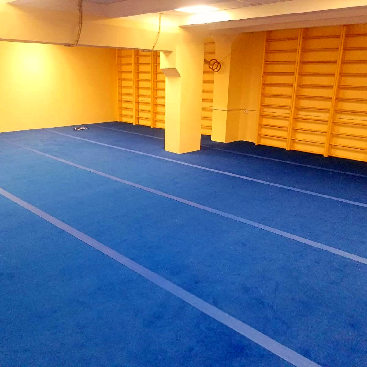 Ковер для спортивной гимнастики GymSport 14x14 Толщина 38 мм