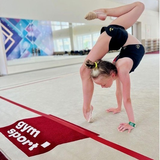 Ковер гимнастический GymSport PROF PREMIUM 4х2м