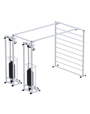 Кроссовер ARMS Биотонус-2 со шведской стенкой AR088 2х2400 (стек 2х75 кг) | Premium Fitness