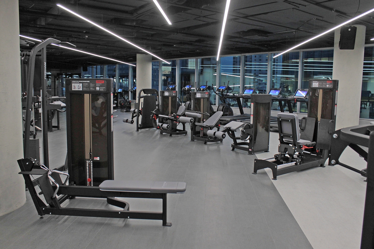 Foreman FN-108 Жим ногами сидя | Premium Fitness