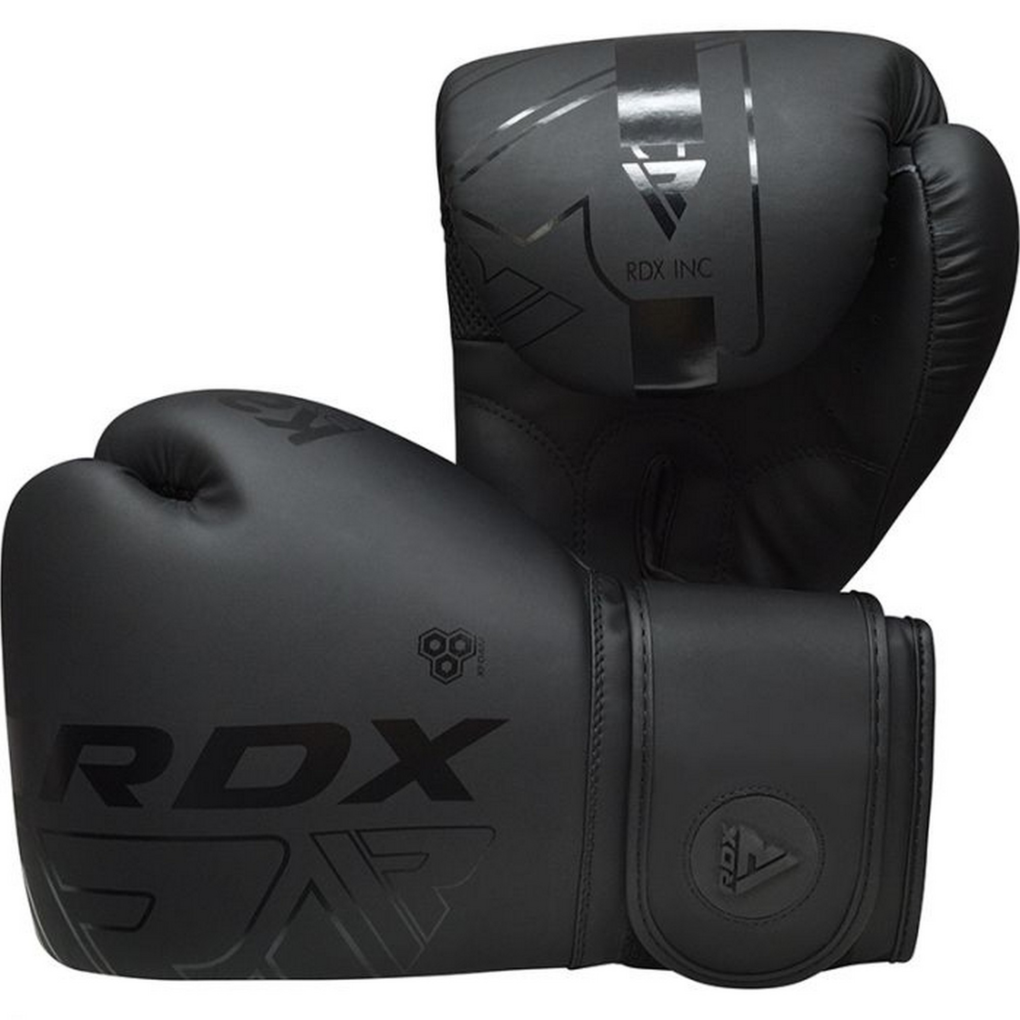 Перчатки тренировочные RDX BGR-F6MB-10OZ черный матовый