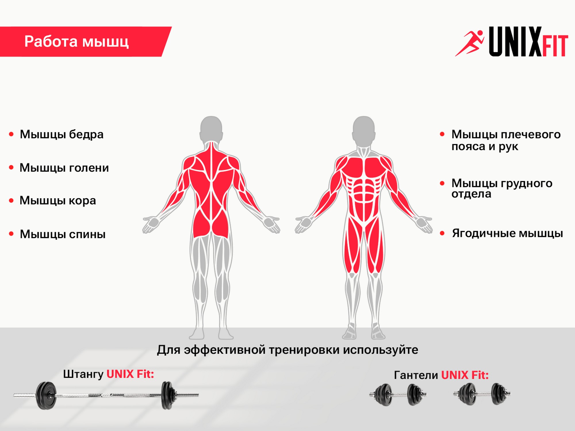 Скамья силовая со стойками UnixFit BENCH 120P BSBN120P | Premium Fitness
