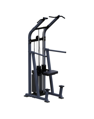 Турник с противовесом ARMS ARM049 | Premium Fitness