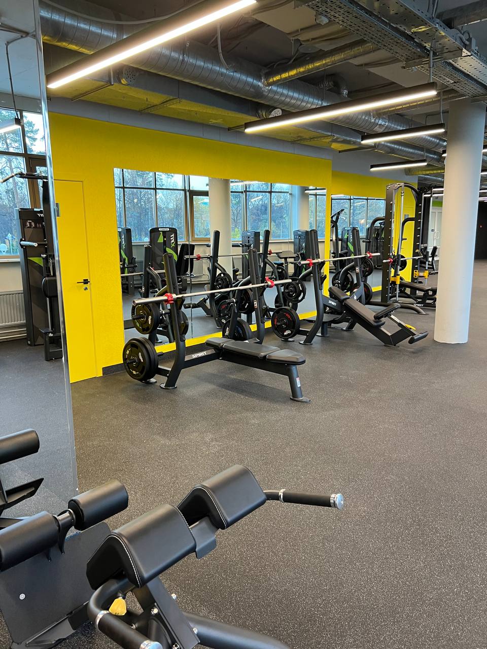 Олимпийская скамья горизонтальная SPIRIT SP-4209 | Premium Fitness