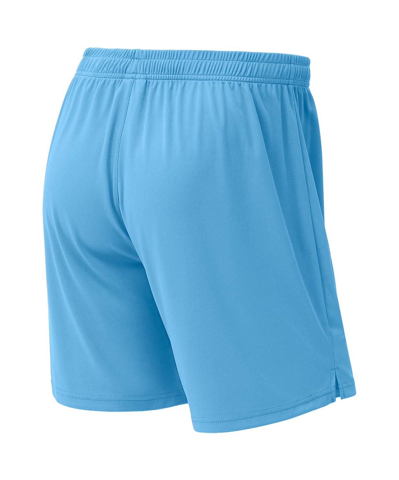 Шорты игровые Jogel DIVISION PerFormDRY Union Shorts, голубой