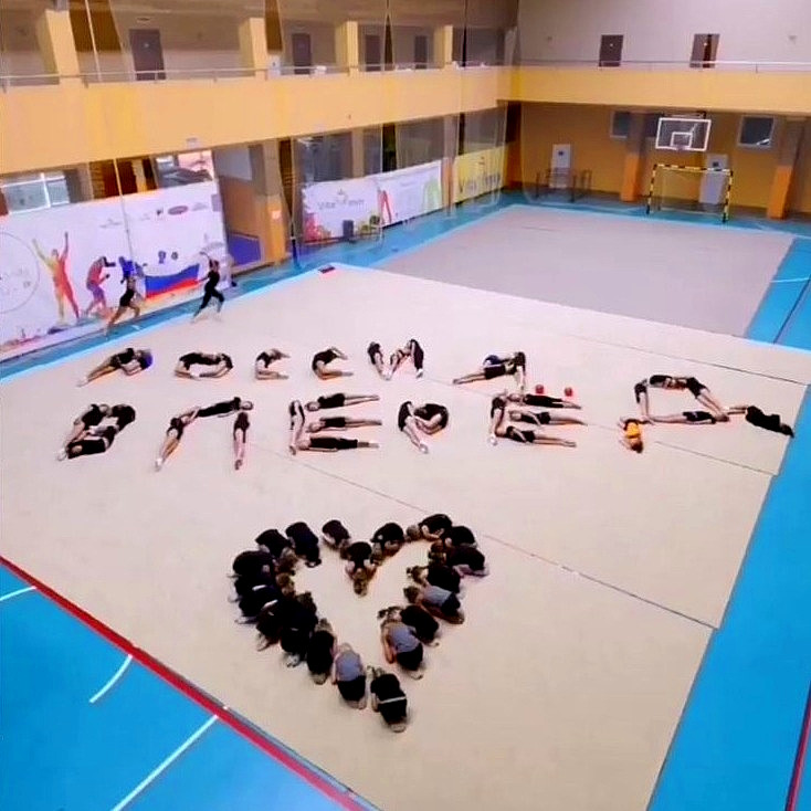Ковер гимнастический GymSport PROF PREMIUM 4х2м