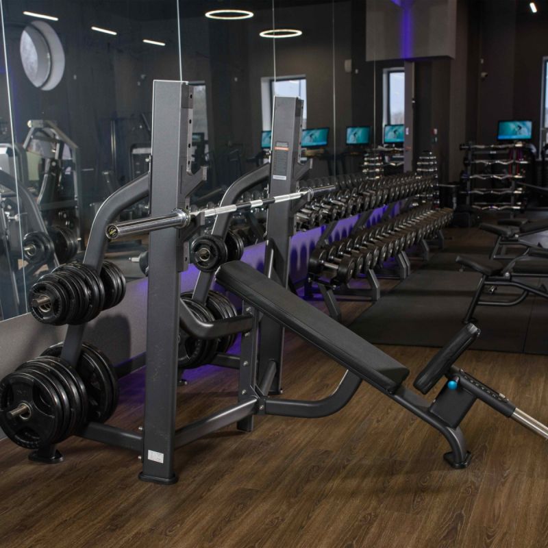 Скамья – стойка для жима под углом DHZ E7042 | Premium Fitness