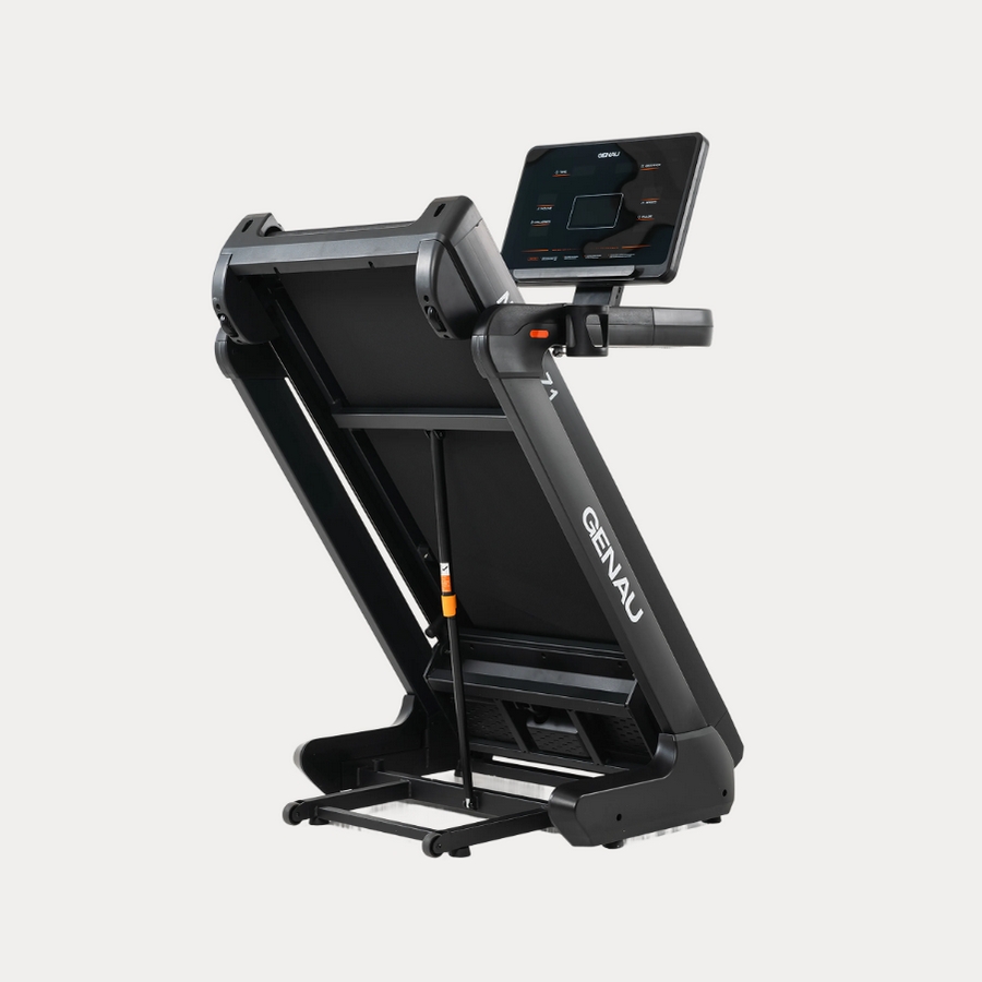 Электрическая беговая дорожка Genau Nordic Z1