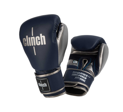 Перчатки боксерские Clinch Punch 2.0 C141 темносине-бронзовый