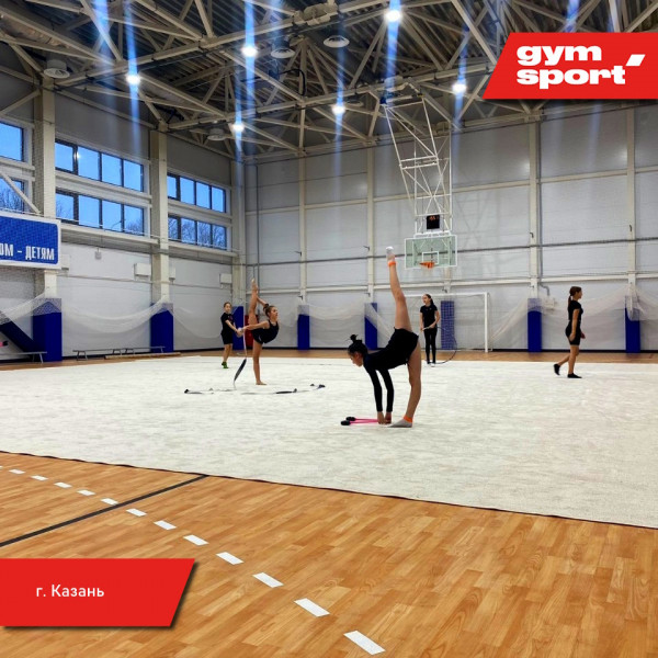 Ковер для эстетической гимнастики GymSport PROF 14Х14