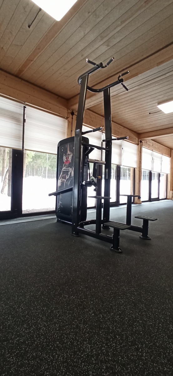 Отжимание и подтягивание с отягощением Spirit SP-3517