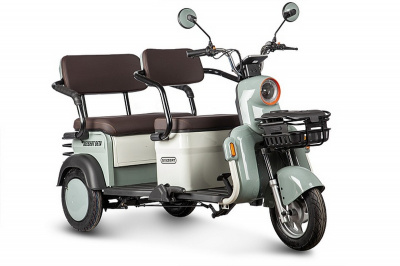 Электротрицикл 48V/60V 800Вт RuTrike Gelbert Beta 0000256