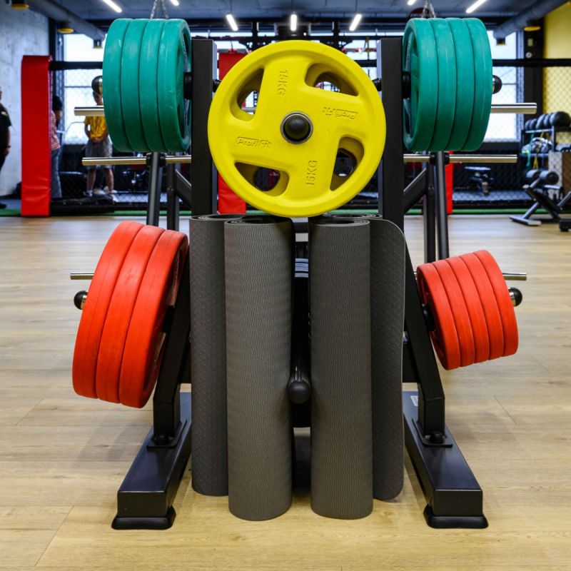 Диск обрезиненный цветной Fassion D51мм, 15 кг Profi-Fit