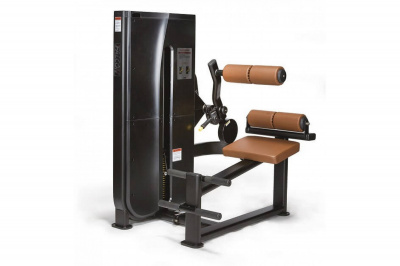 UltraGym LS-122 Разгибание спины