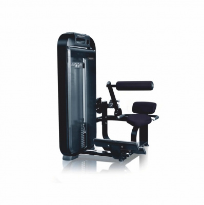UltraGym UG-DM503 Разгибание спины | Premium Fitness
