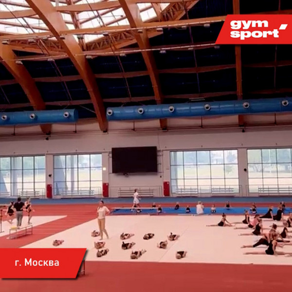 Ковер для эстетической гимнастики GymSport PROF 14Х14