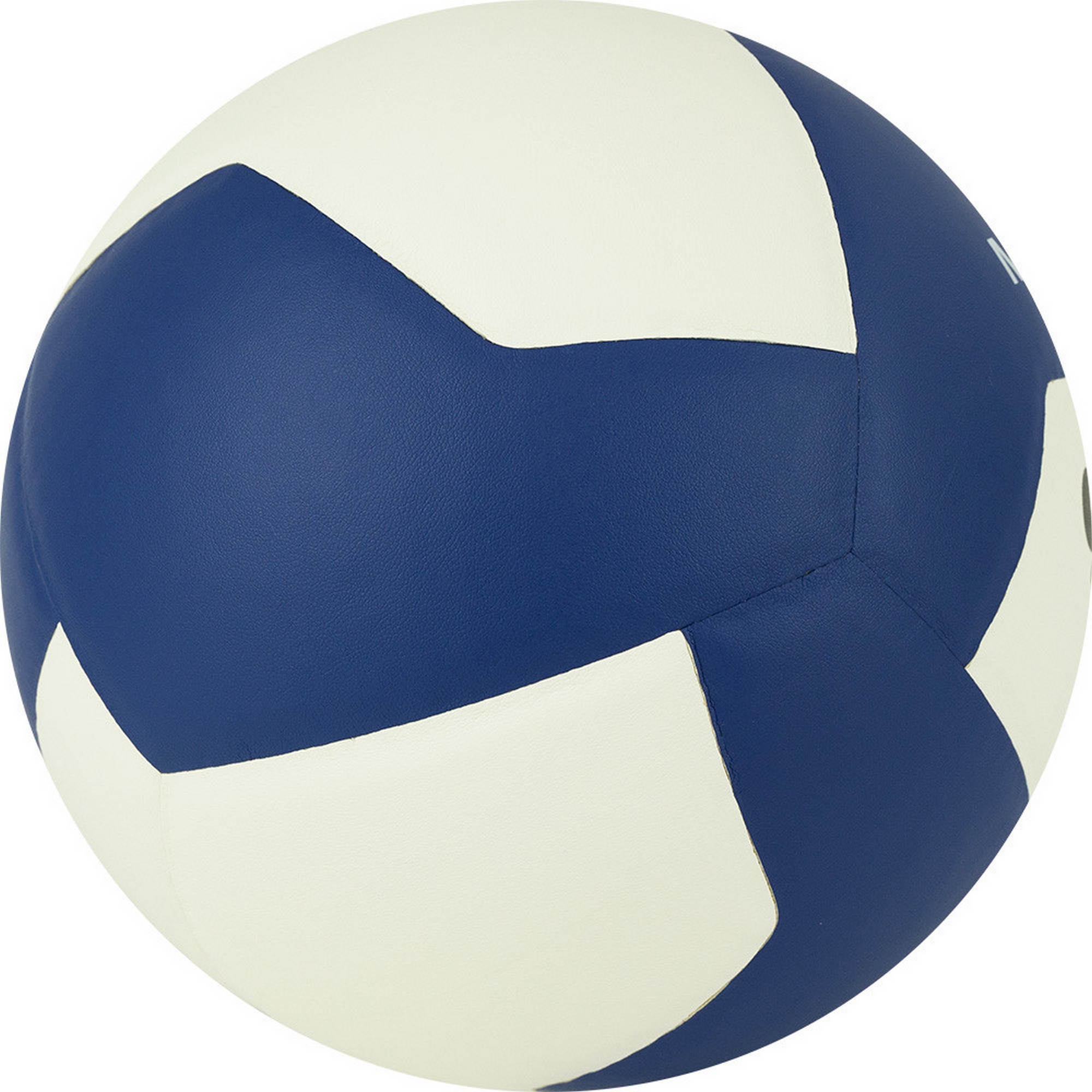 Мяч волейбольный Gala Mistral 12 BV5665S р. 5