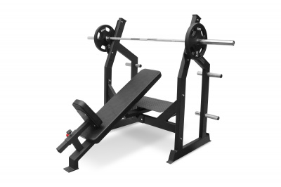 Скамья для жима под углом Bronze Gym AL-305 | Premium Fitness