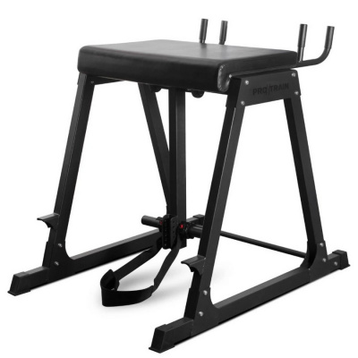 Protrain 678 RH — Гиперэкстензия обратная