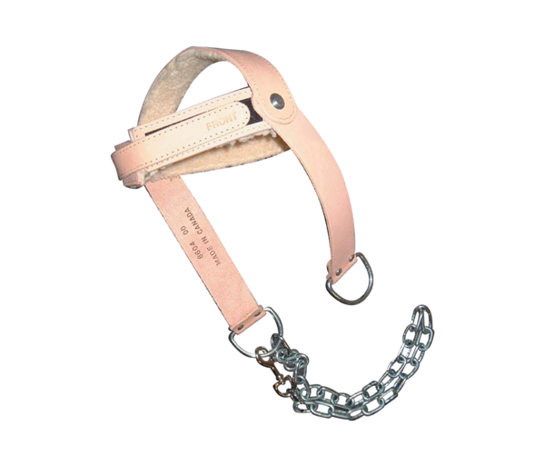 Упряжь Grizzly 8606-04 | Premium Fitness