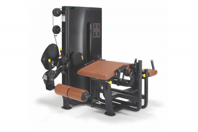Разгибание и Сгибание Ног Лежа UltraGym LS-703