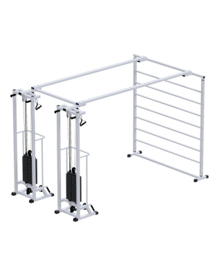 Кроссовер ARMS Биотонус-2 с стеком 2х75 кг и шведской стенкой AR088.2х2200 | Premium Fitness