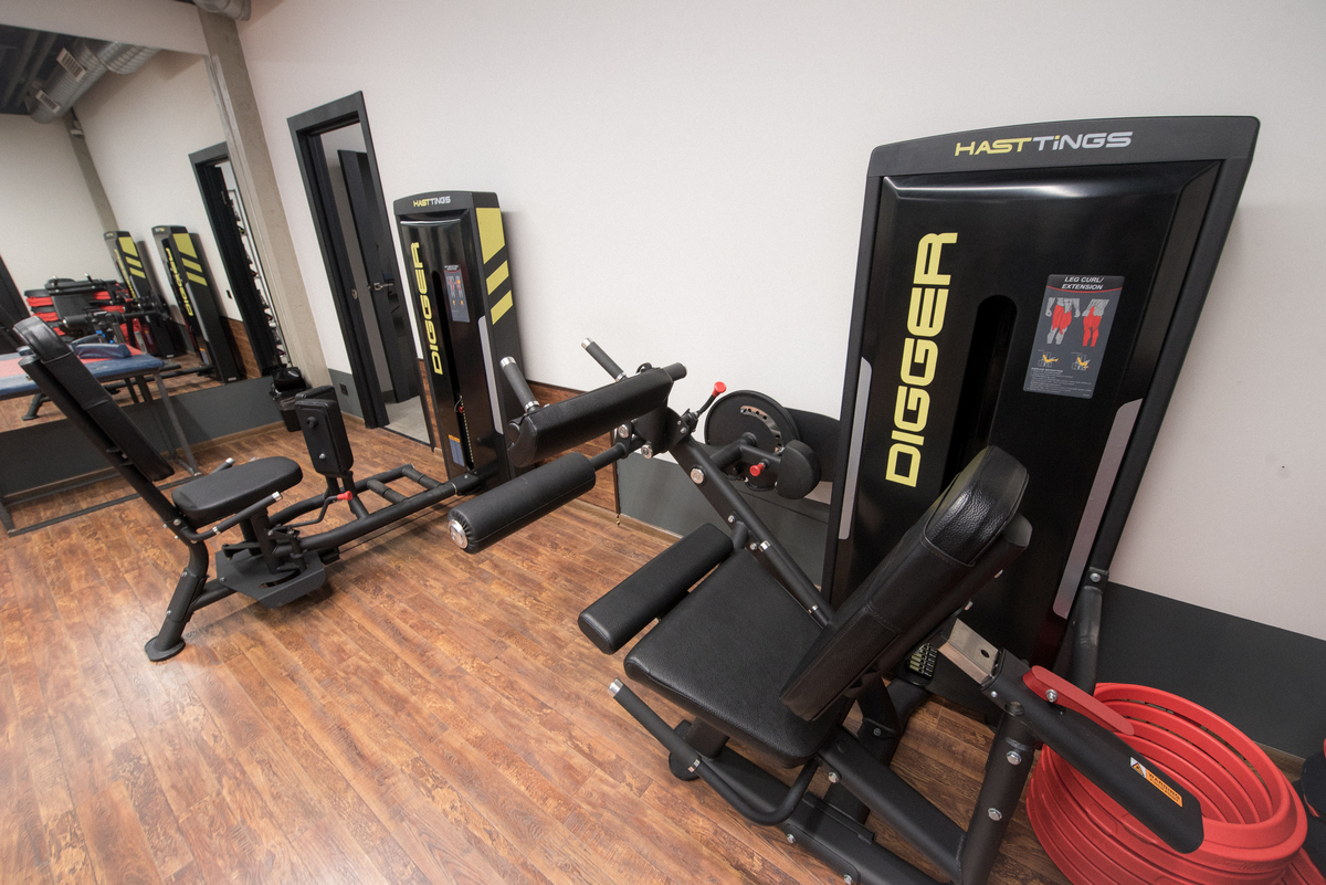 Сгибание и разгибание ног сидя Hasttings Digger HD037-1 | Premium Fitness