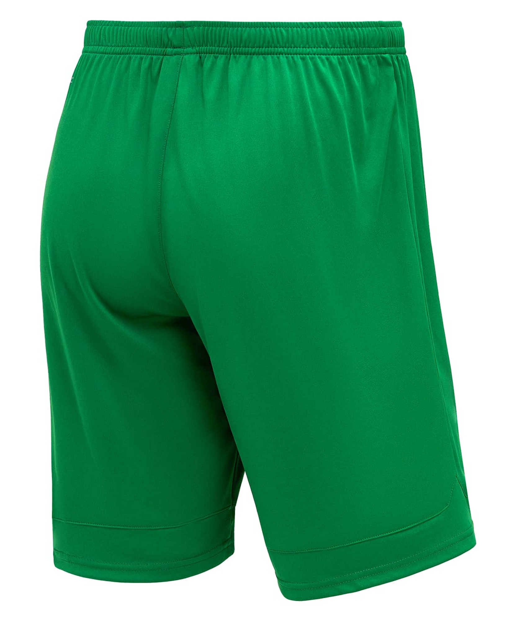 Шорты игровые Jogel DIVISION PerFormDRY Union Shorts, зеленый