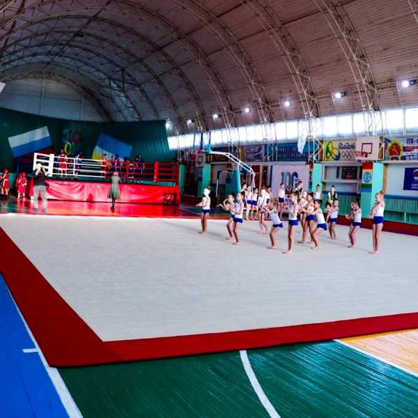 Ковер для эстетической гимнастики GymSport PROF PREMIUM RED 14Х14