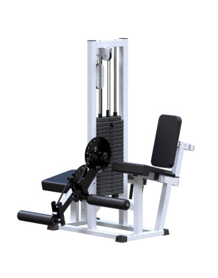 Сгибание и разгибание ног ARMS AR053, стек 100 кг | Premium Fitness