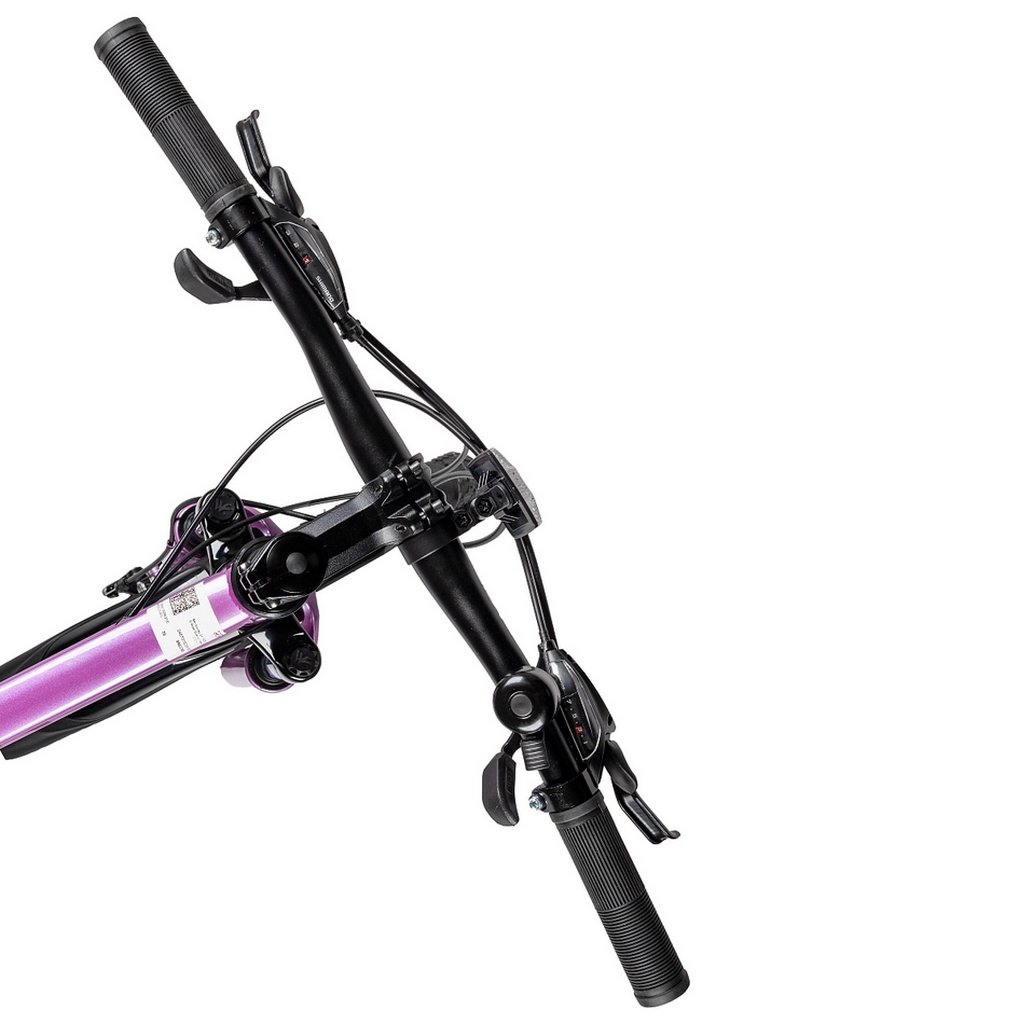 Велосипед 24" Acid Q 450 D 2026 056290 Rose Quartz\Deep Purple