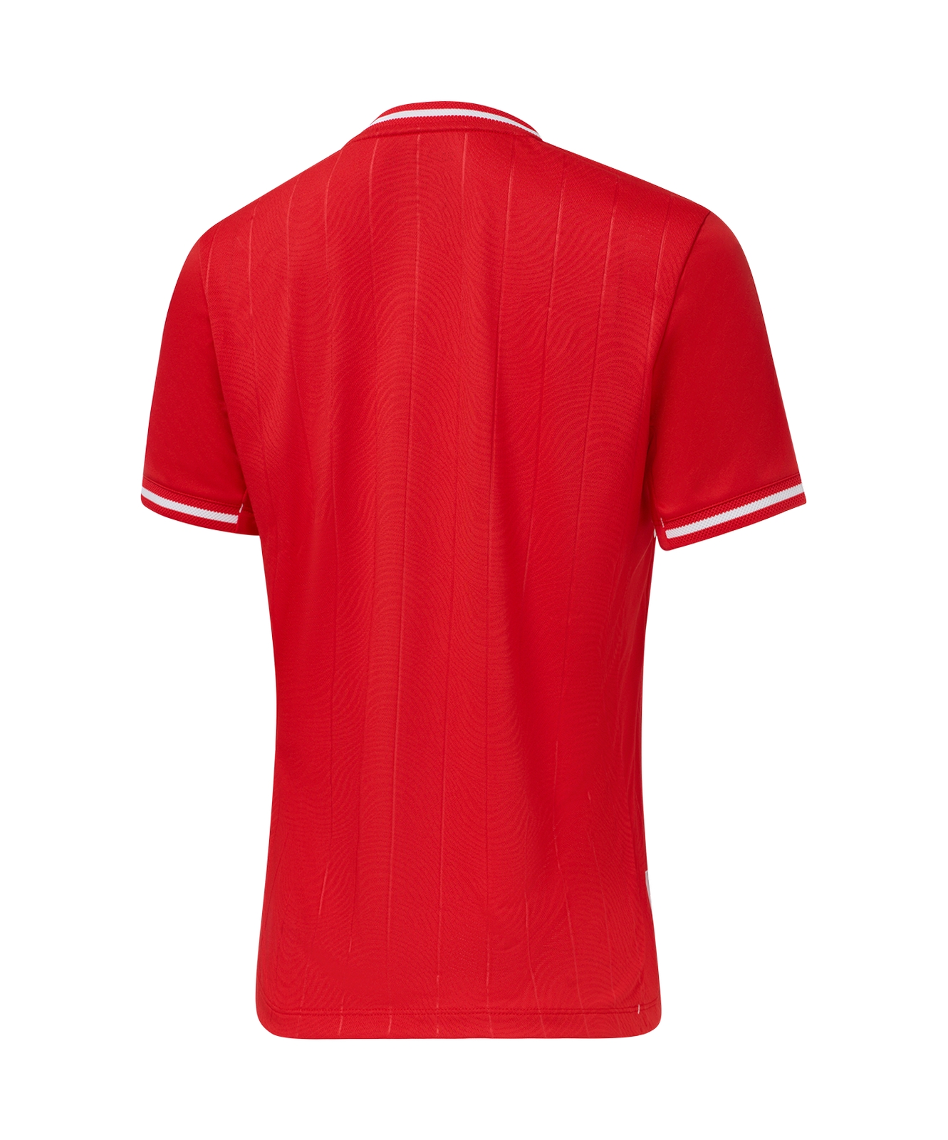 Футболка игровая Jogel PerFormDRY Spartak 25 Home W Jersey, красный