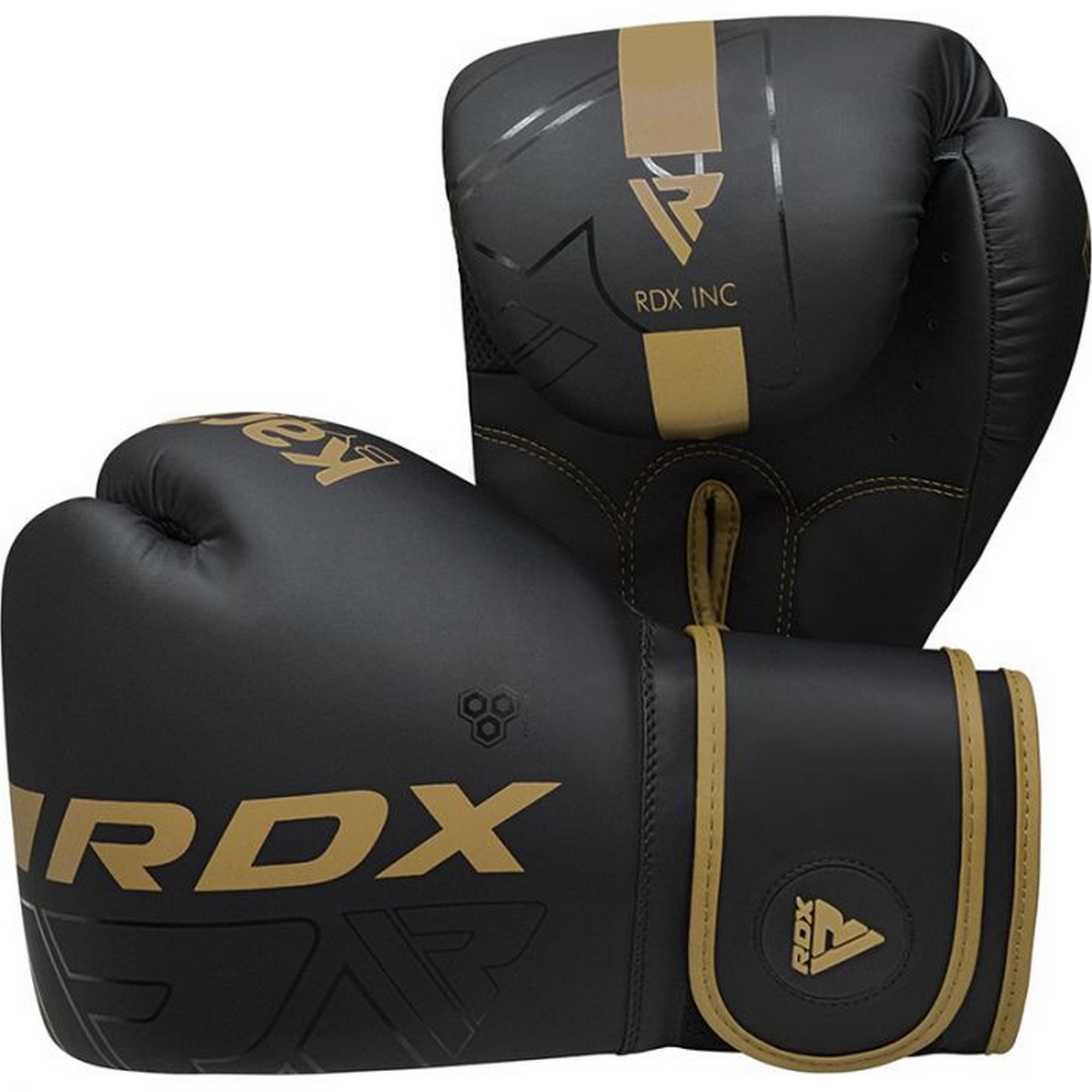 Перчатки тренировочные RDX BGR-F6MGL-14OZ черный\золотой матовый