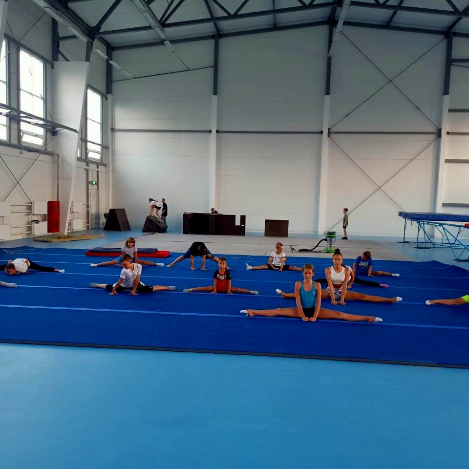 Ковер для спортивной гимнастики GymSport 14x14 Толщина 38 мм