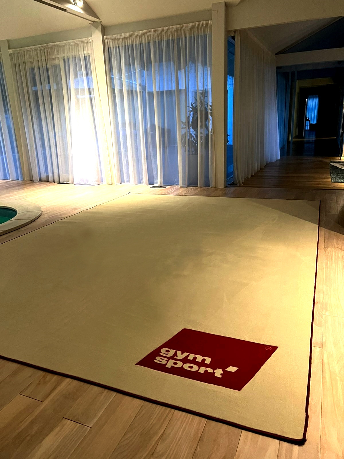 Ковер гимнастический GymSport PROF PREMIUM 2х3м
