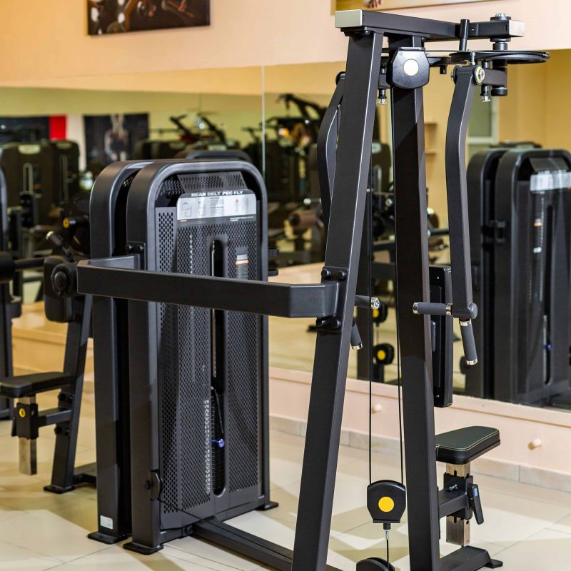 Баттерфляй для задних дельт DHZ U3007D (E5007) | Premium Fitness