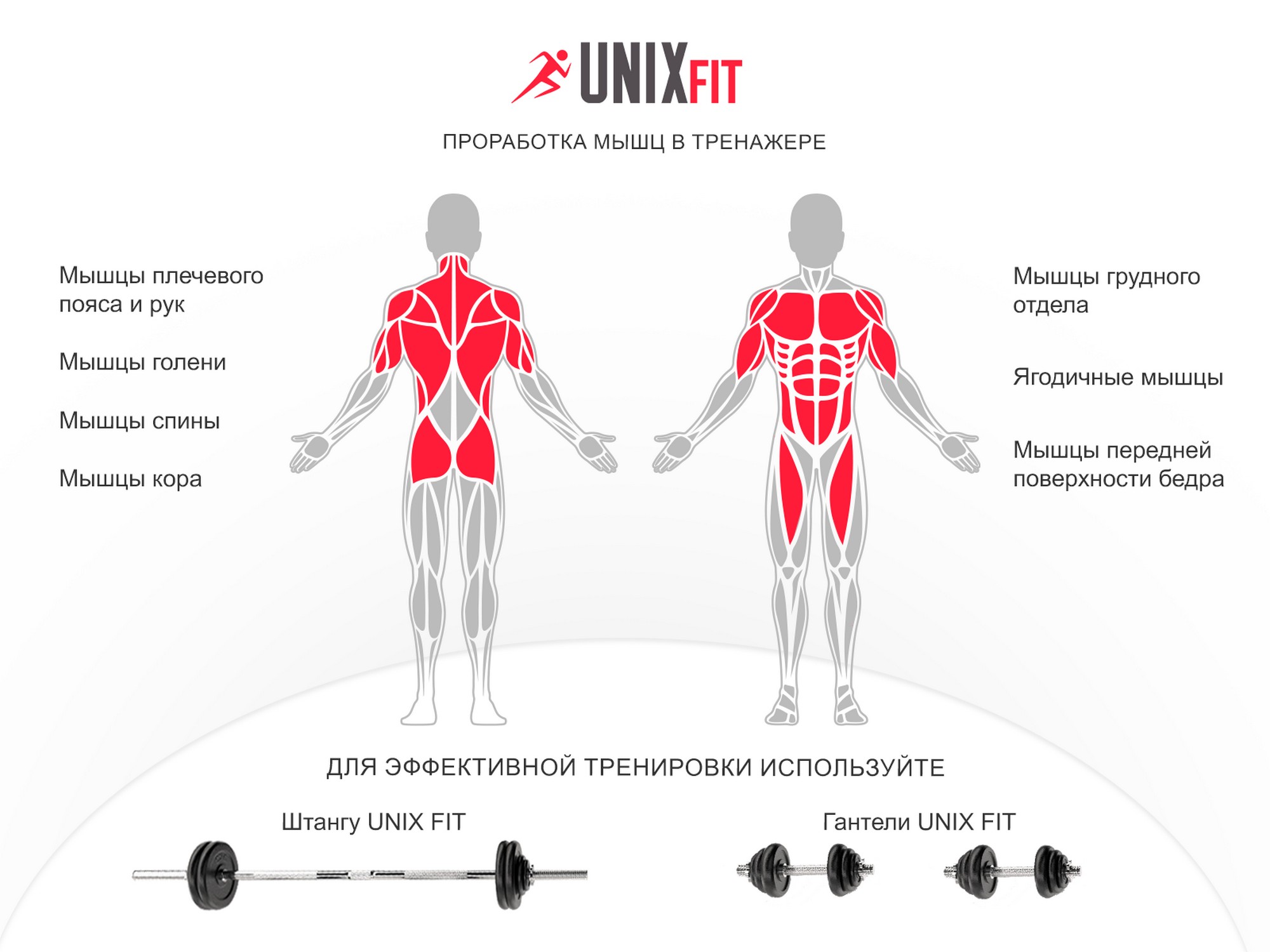 Турник-пресс-брусья со скамьей UnixFitt POWER TOWER 150P BSPT150P | Premium Fitness