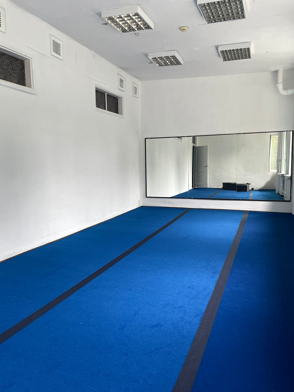 Ковер для спортивной гимнастики GymSport 14x14 Толщина 38 мм