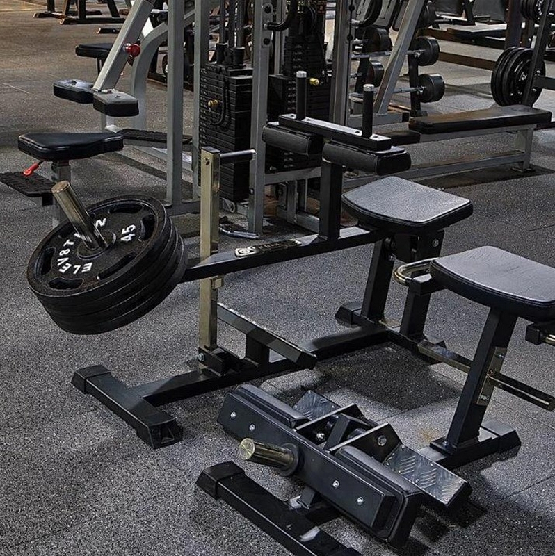 Gymleco 145 Голень сидя на свободных весах | Premium Fitness