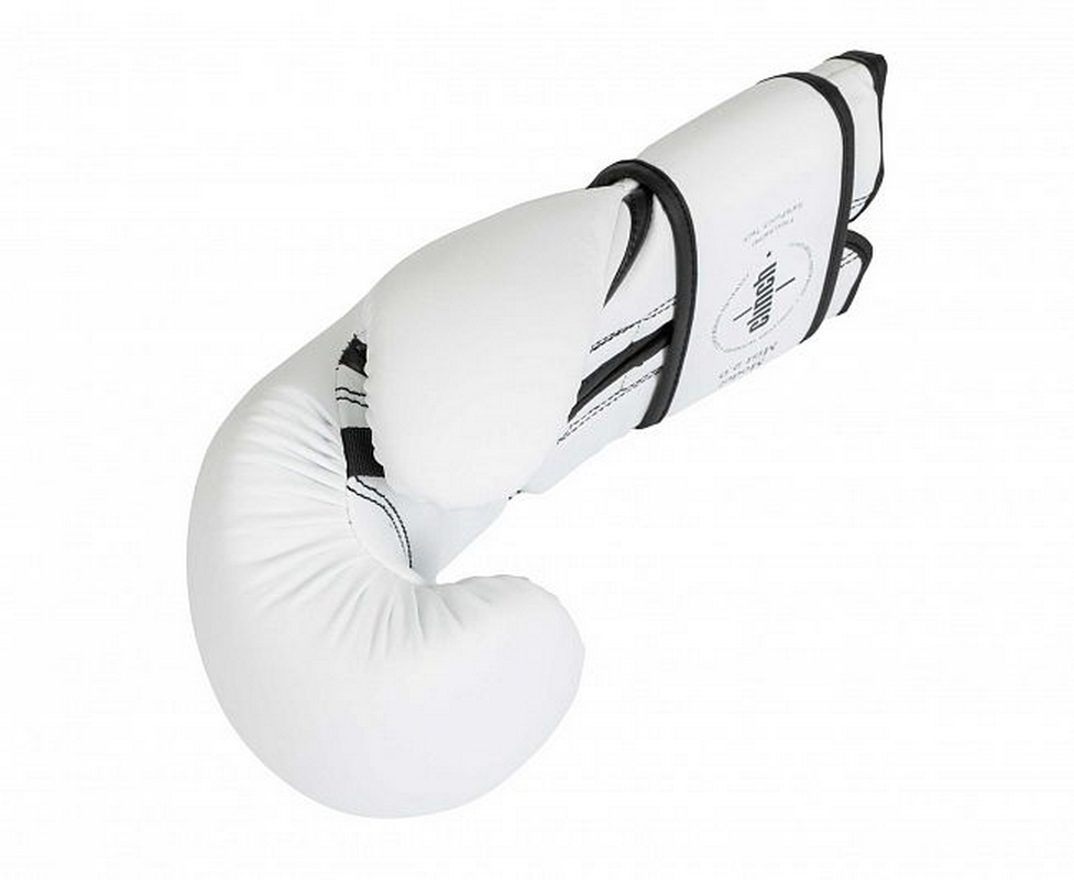 Перчатки боксерские Clinch Mist 2.0 C183 белый