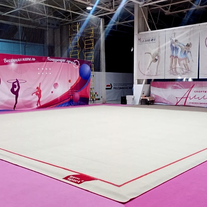 Ковер гимнастический GymSport PROF PREMIUM 4х2м