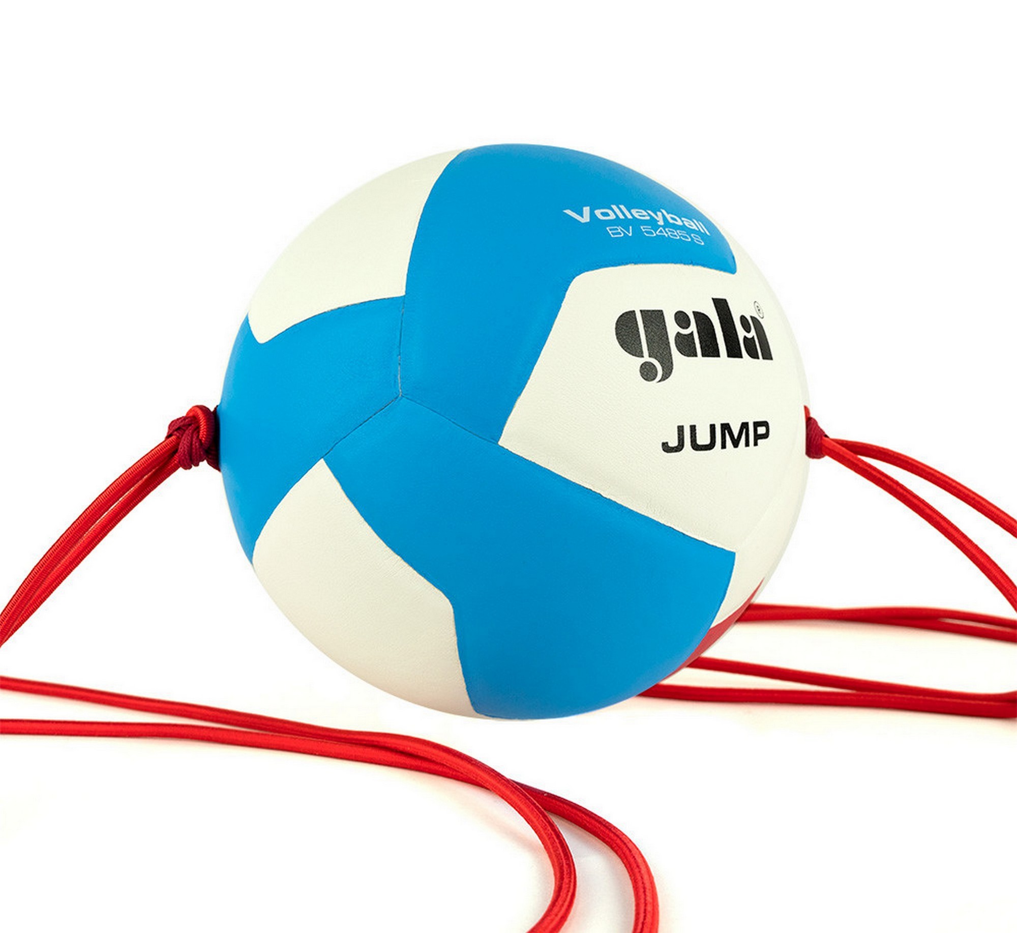 Мяч волейбольный на растяжках Gala Jump 12 BV5485S р.5