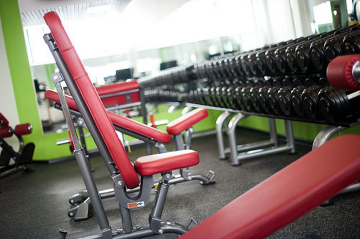 Многопозиционная скамья (0-80 градусов) Impulse IT7011 | Premium Fitness
