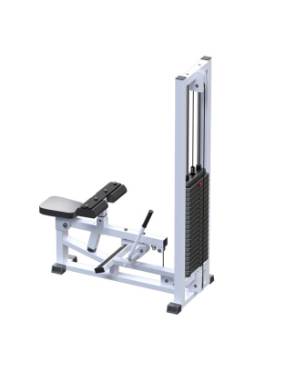 Голень станок сидя ARMS AR022.3 (стек 100 кг) | Premium Fitness